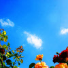 badgeur_badzout_badparfum_fresh-air
